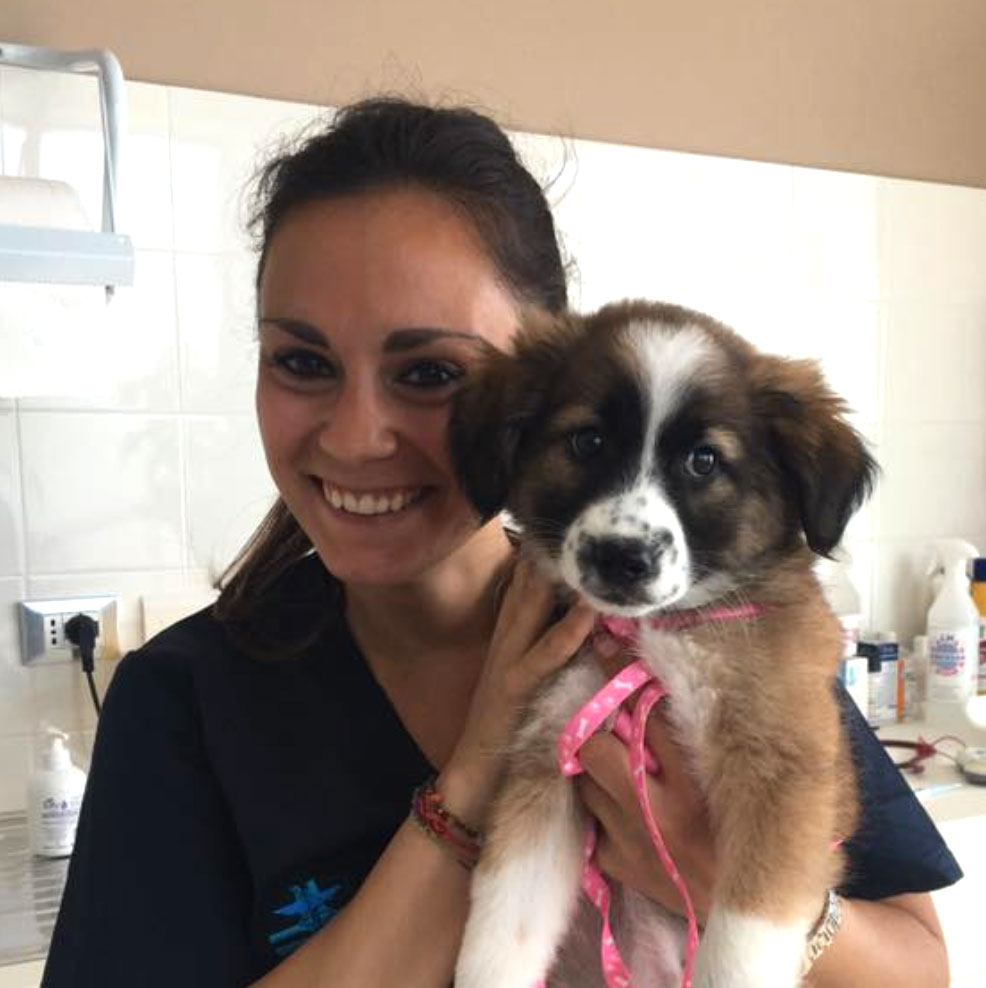 Dott.ssa F. Calamusa