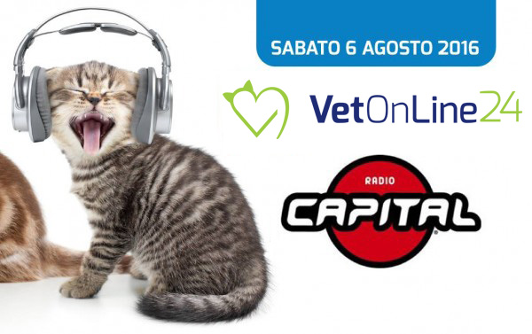 Radio Capital