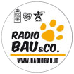 Radiobau