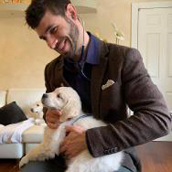 Dott. Francesco Volpe